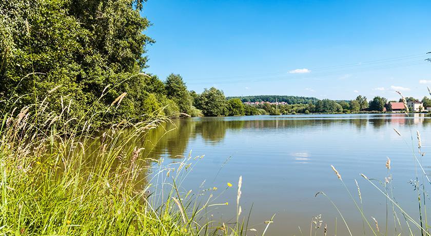 Landhotel Mappacher Hof Bruck in der Oberpfalz Zewnętrze zdjęcie